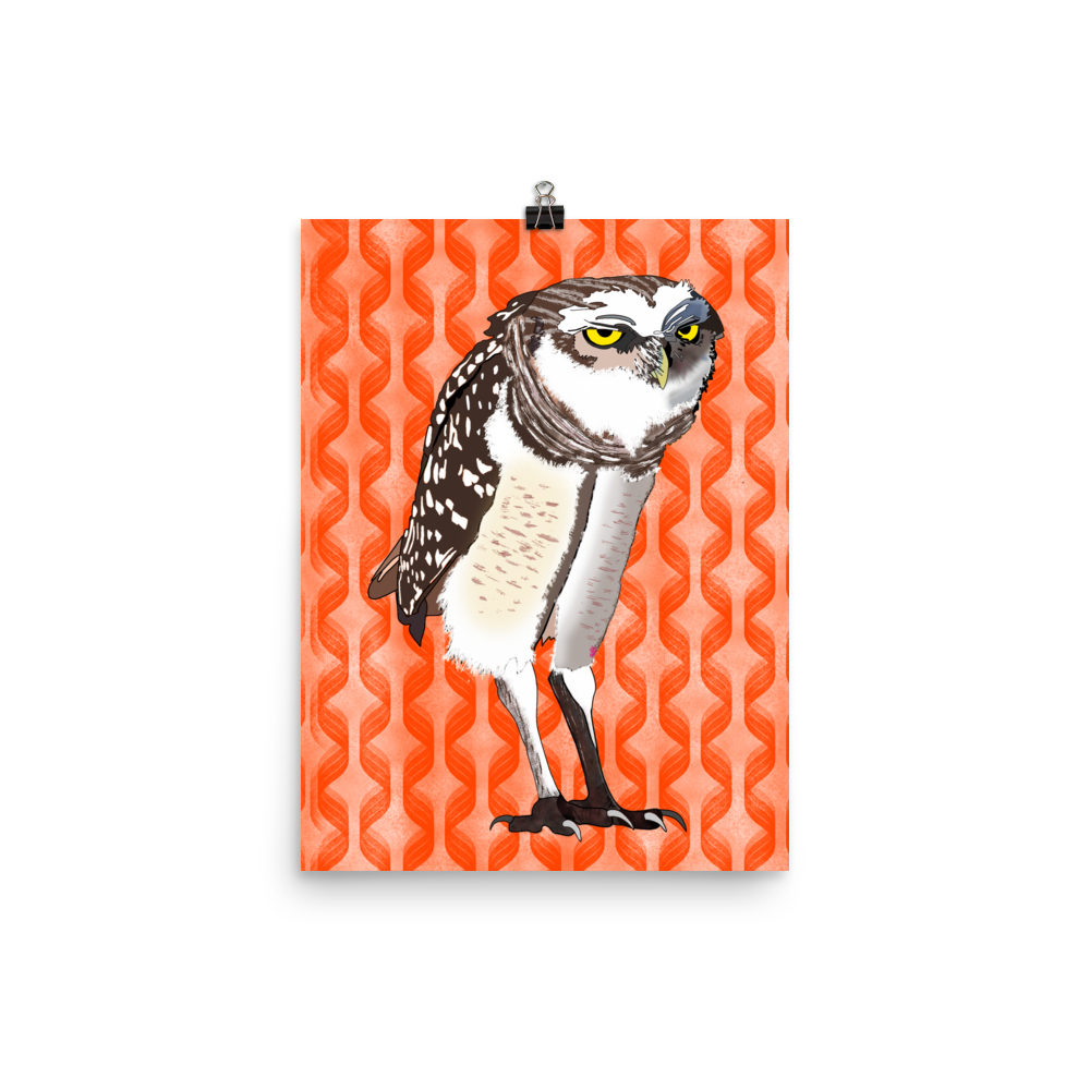 Brenda the Burrowing Owl • Enhanced Matte Paper Poster • Digital Art Print