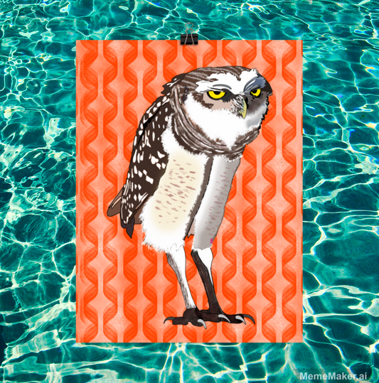 Brenda the Burrowing Owl • Enhanced Matte Paper Poster • Digital Art Print