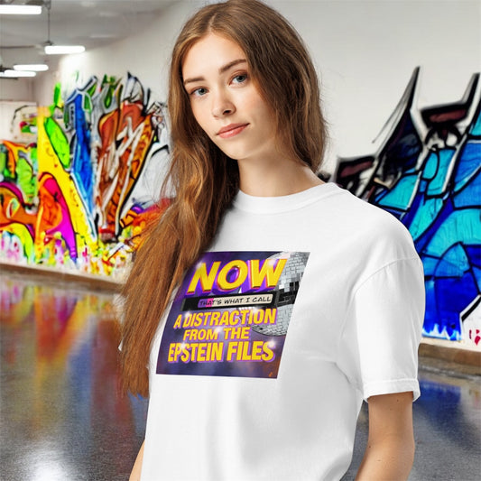 Release the Files • Distractions Aren’t Working • Unisex Garment-Dyed Heavyweight T-Shirt