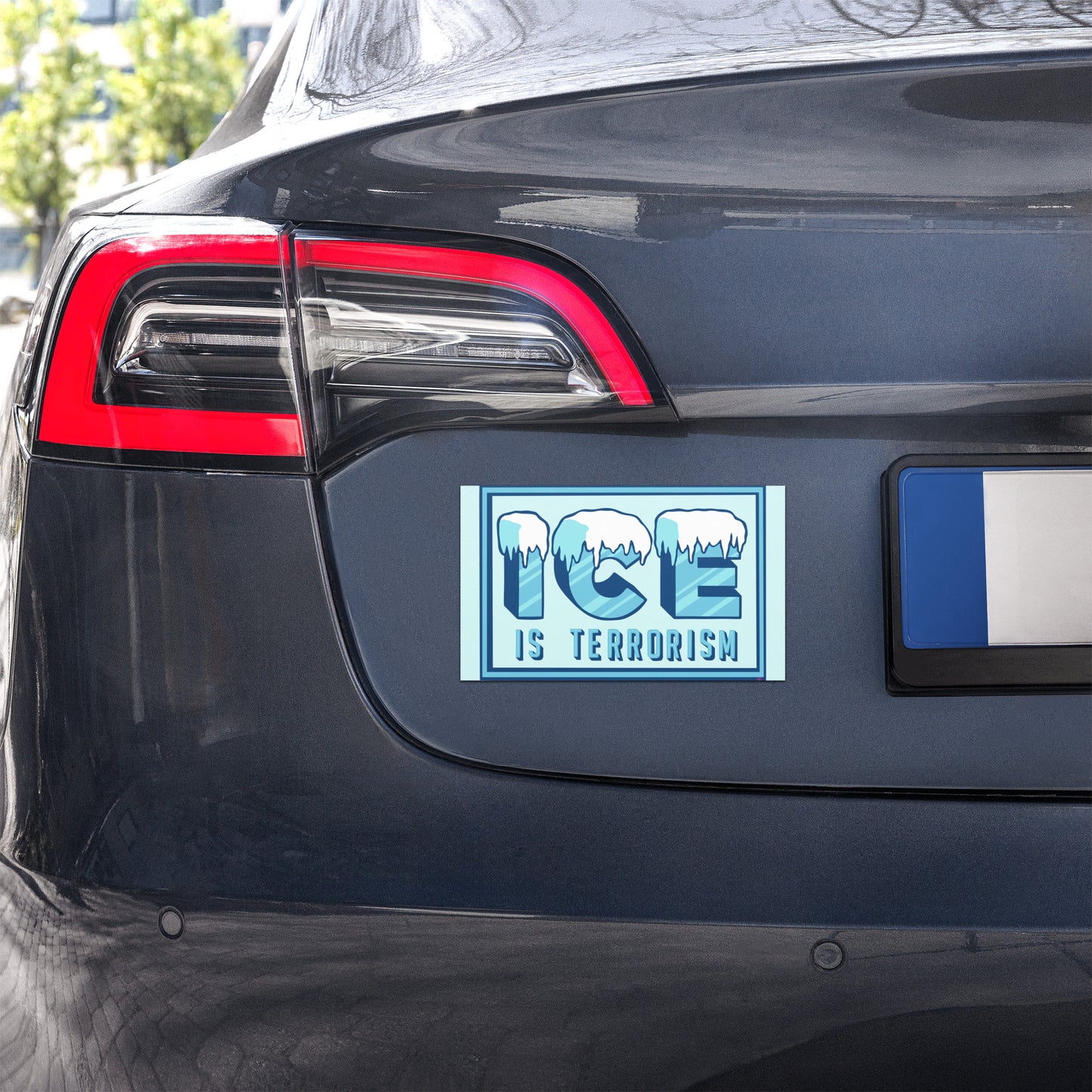 ICE is Terrorism • Car Magnet
